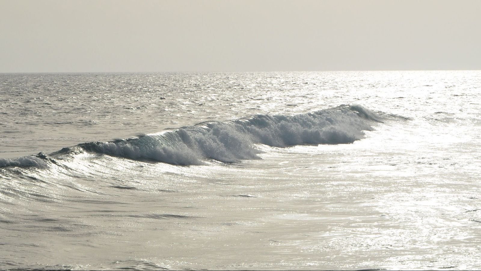 Kurs «Nichttun in der Biodynamischen Craniosacral Therapie»
